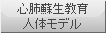 心肺蘇生教育人体モデル