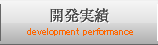 開発実績  development performance