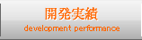 開発実績  development performance